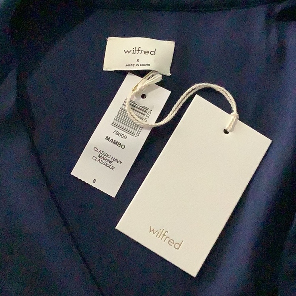 ARITZIA||Wilfred|Mambo Dress - Picture 2 of 15
